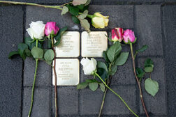 Neben drei frisch verlegten Stolpersteinen liegen verschiedenfarbige Rosen