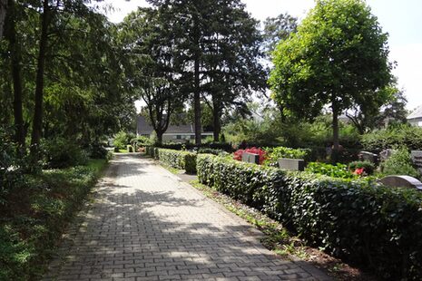 Cimetière forestier de Kottenforst